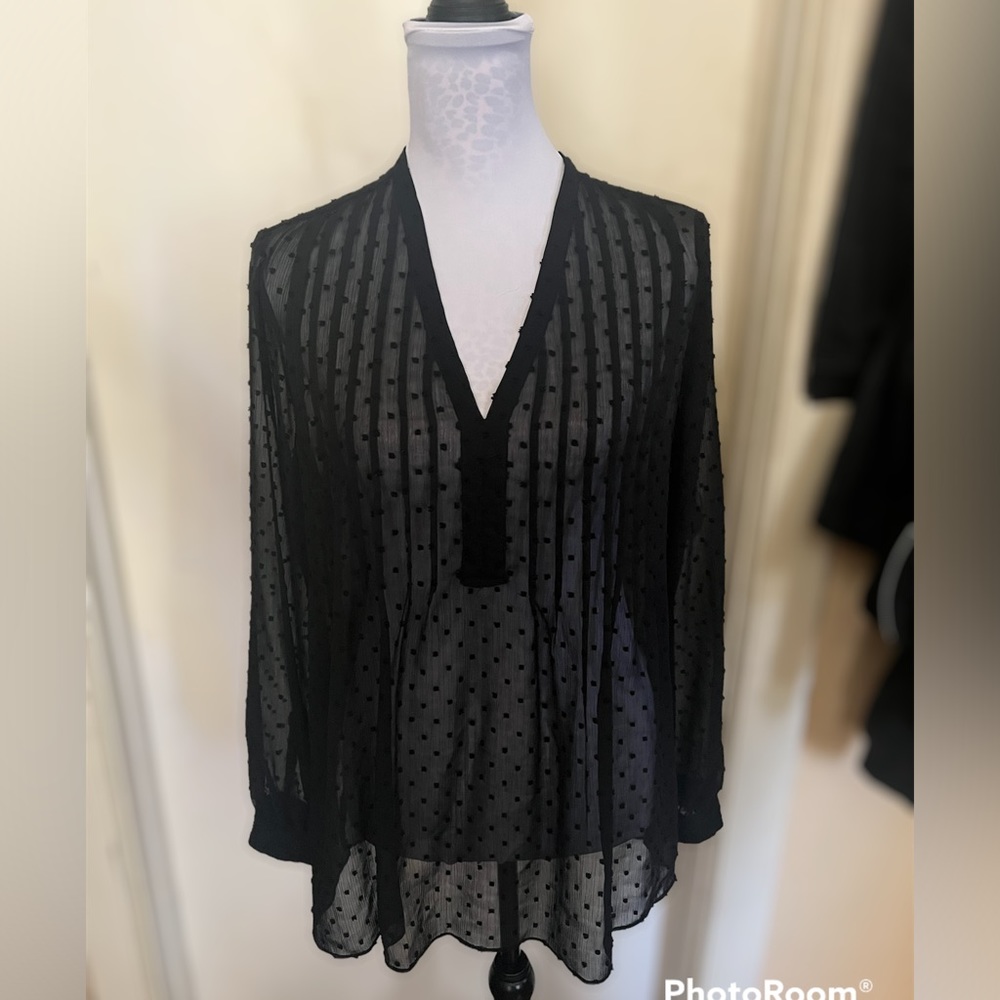 Max studio sheer long sleeve blouse